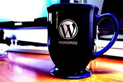 Wordpress - A Melhor Opção para Criar Blogs ou Websites