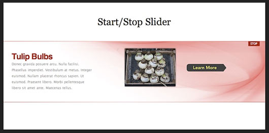 Start/Stop Slider